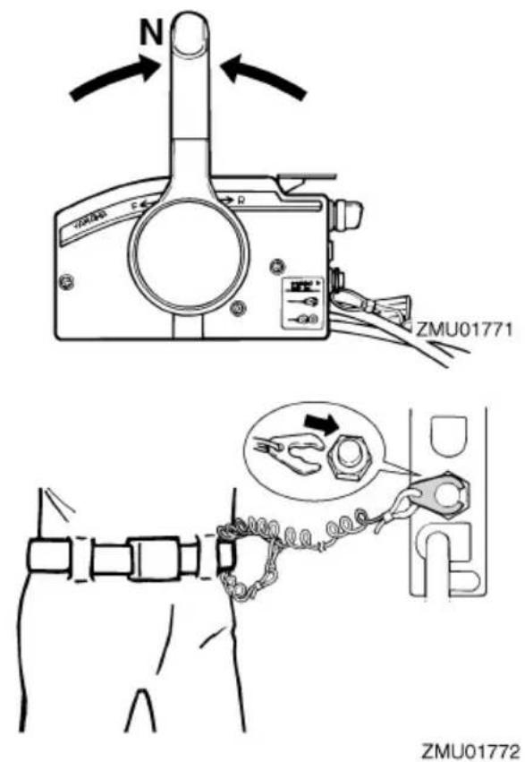 N ZMU01771 ZMU01772