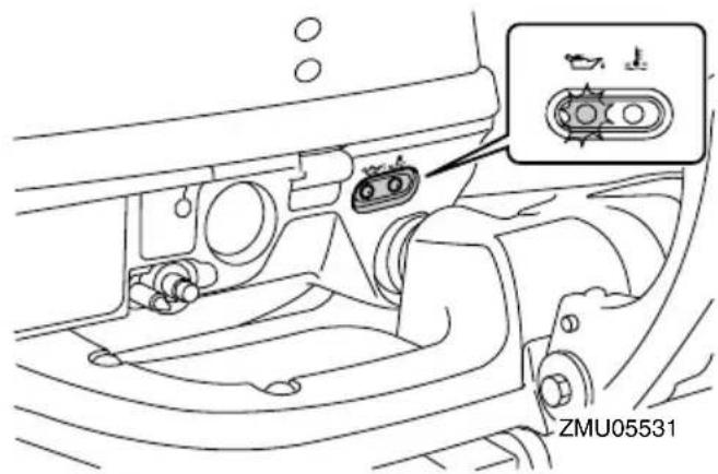 ZMU05531