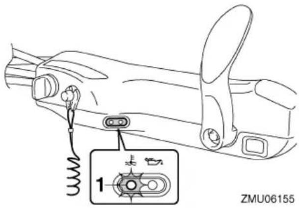 ZMU06155 1