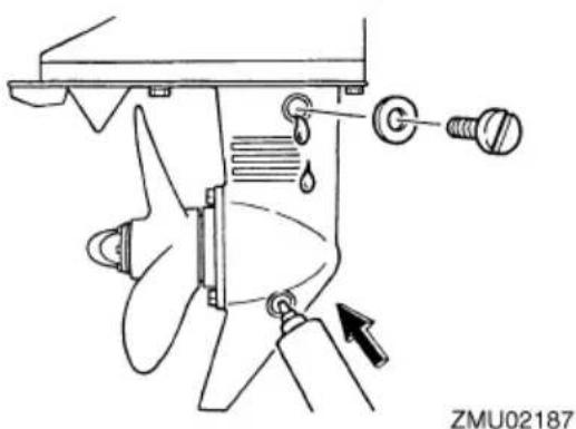 ZMU02187