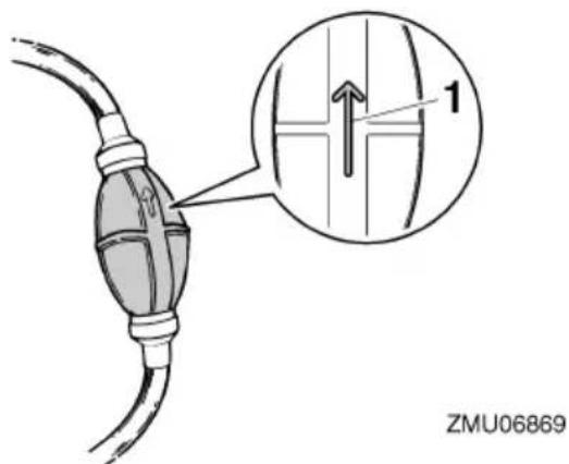ZMU06869