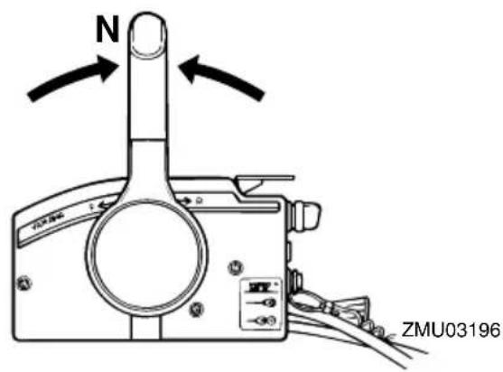 N ZMU03196