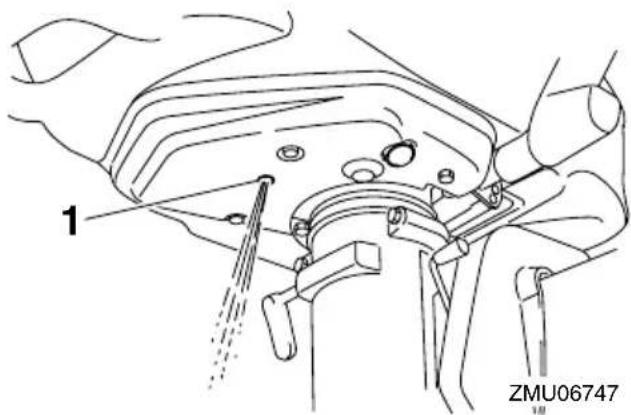 1 ZMU06747