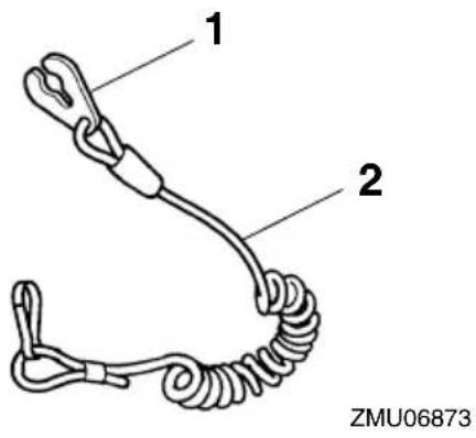 1 2 ZMU06873