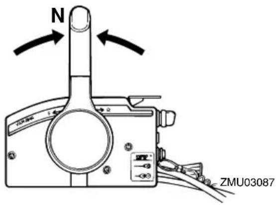 N ZMU03087