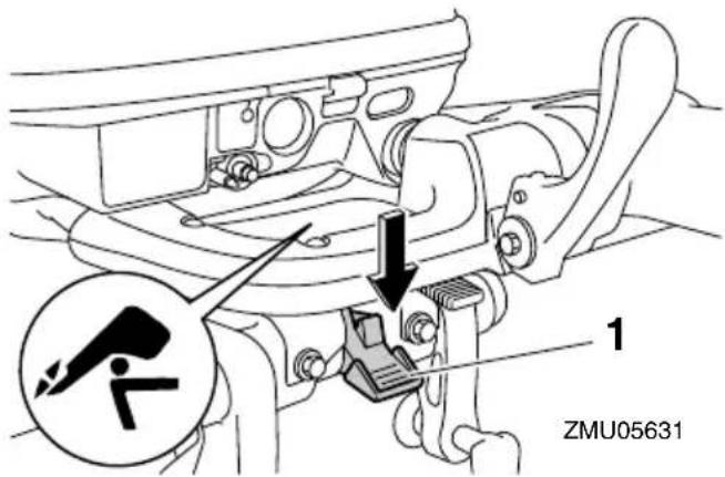 ZMU05631 1