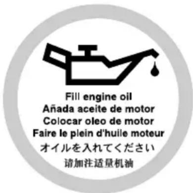 Fill engine oil Añada aceite de motor Colocar oleo de motor Faire le plein d'huile moteur オイルを入れてください 請加注适量机油