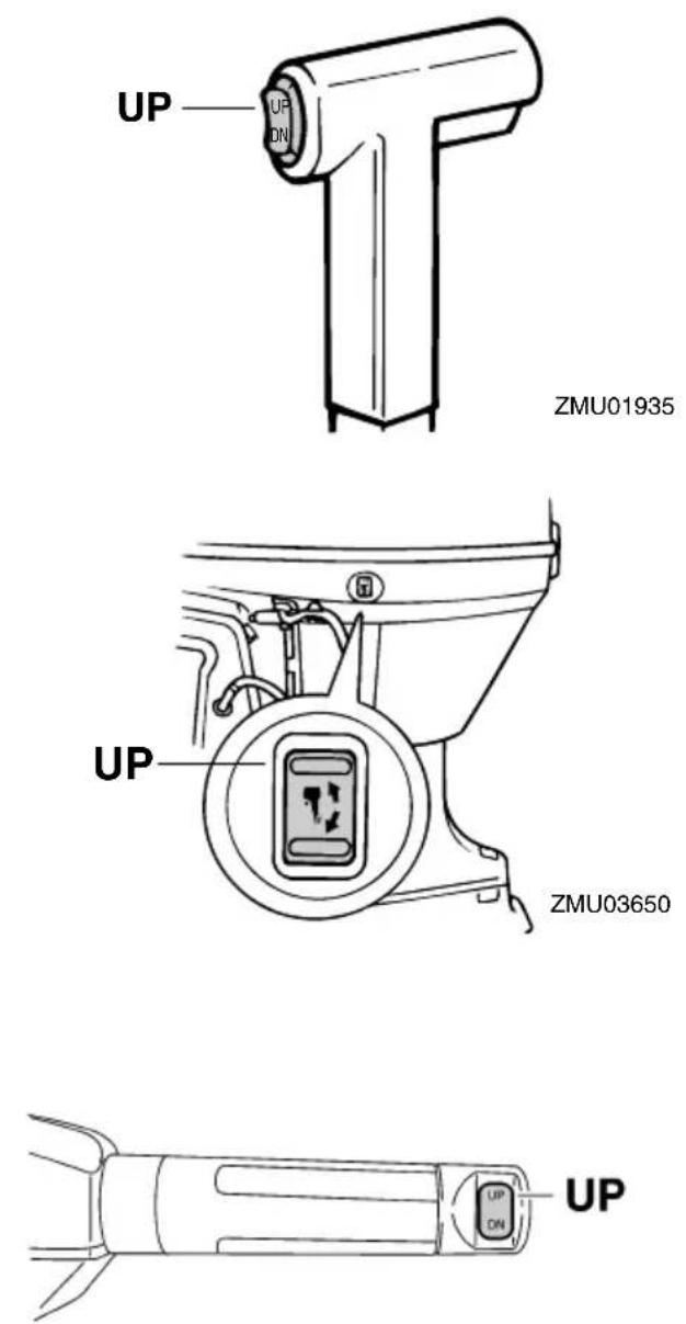 YAMAHA FT60D (2012) - Verfahren für PTT-Modelle - 2