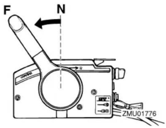 F N ZMU01776