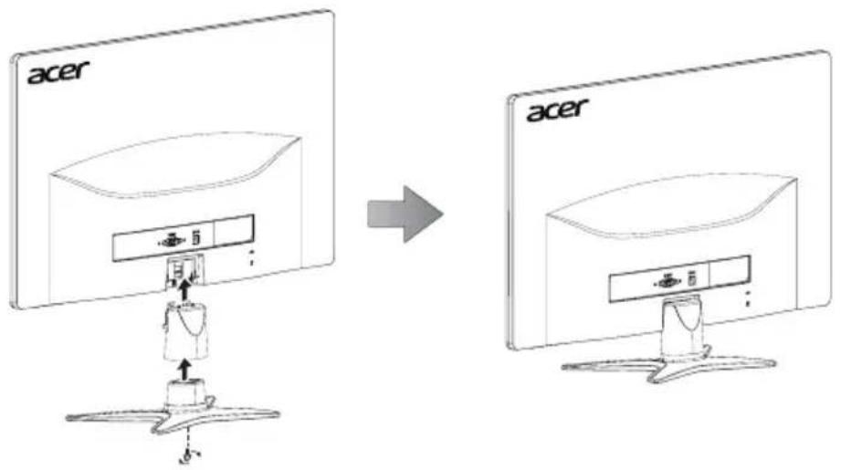 acer acer