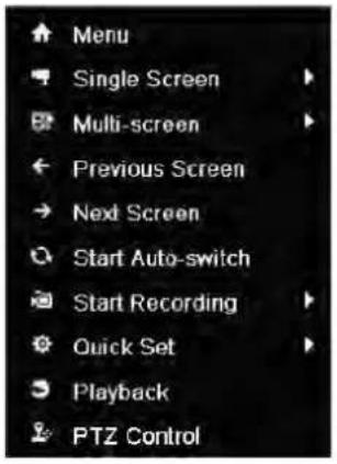 Menu Single Screen Multi-screen Previous Screen Next Screen Start Auto-switch Start Recording Quick Set Playback PTZ Control