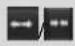 Hikvision DS-9008HQHI-SH - Playback Interface - 18