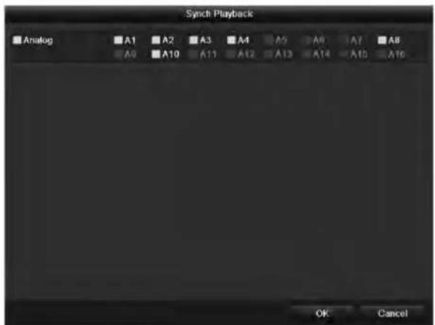 Synch Playback Analog A1 A2 A3 A4 A5 A6 A7 A8 A9 A10 A11 A12 A13 A14 A15 A16 OK Cancel