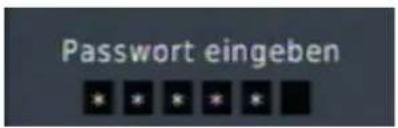 Passwort eingeben