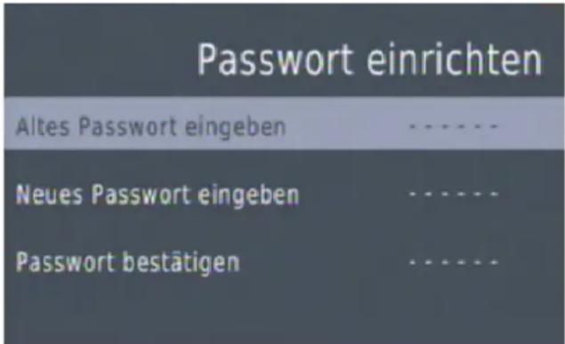 Passwort einrichten Altes Passwort eingeben Neues Passwort eingeben Passwort bestätigen