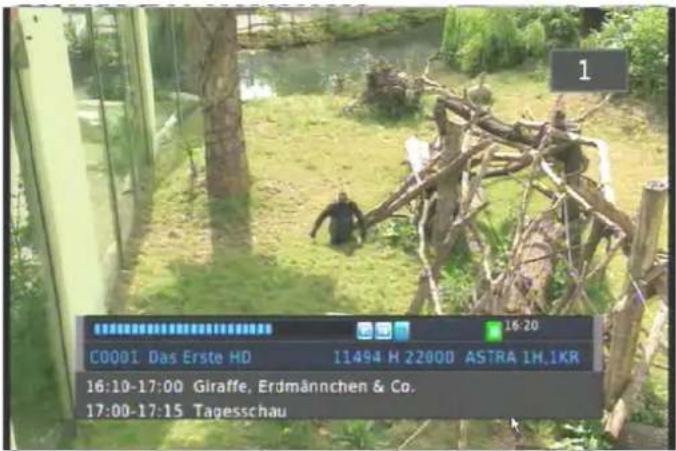 C0001 Das Erste HD 11494 H 22000 ASTRA 1H,IKR 16:10-17:00 Giraffe, Erdmännchen & Co. 17:00-17:15 Tagesschau