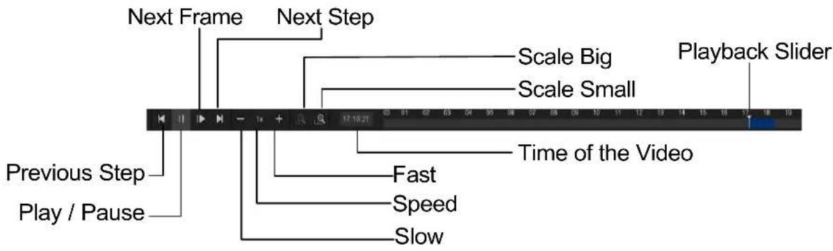 Next Frame Next Step Scale Big Scale Small Playback Slider Previous Step Play / Pause Fast Speed Slow