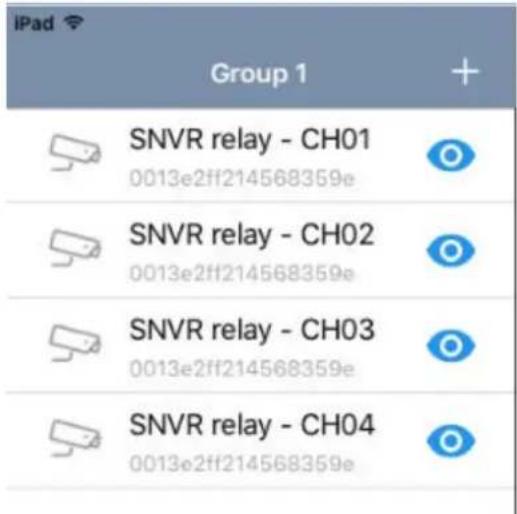 iPad Group 1 SNVR relay - CH01 0013e2ff214568359e SNVR relay - CH02 0013e2ff214568359e SNVR relay - CH03 0013e2ff214568359e SNVR relay - CH04 0013e2ff214568359e