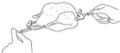 Line drawing of hands holding a chicken being injected with a syringe (no text or symbols)