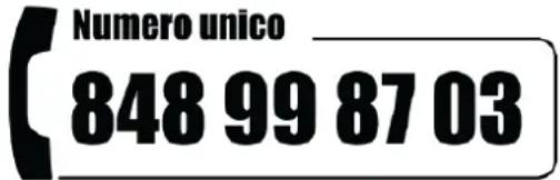 Numero unico 848 99 87 03