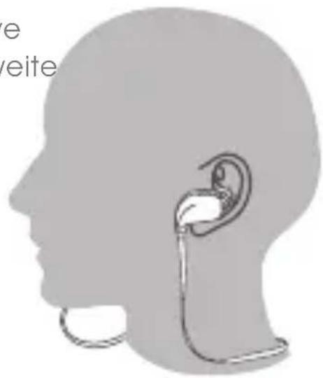 e eite