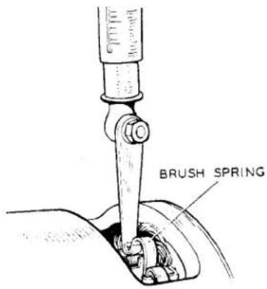 BRUSH SPRING