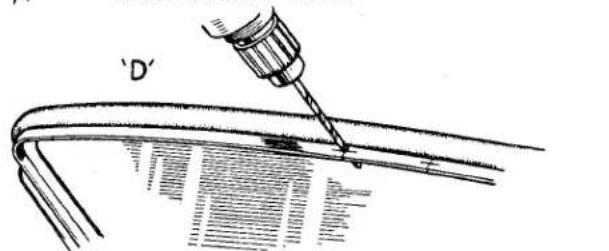 'D'
