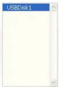 USBDisk1