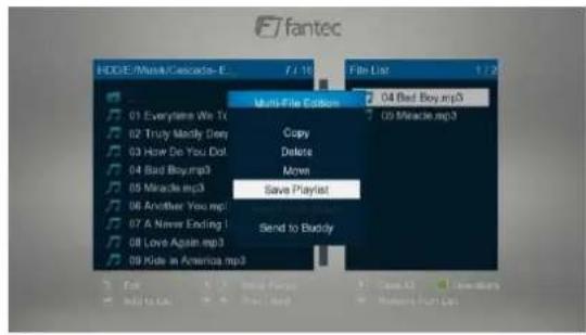 Fantec 3DFHDN - Musikwiedergabeliste erstellen - 2