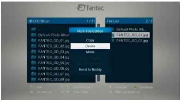 fantec HDD/E/Slider 1 / 31 File List 2 / 3 Default Photo Alb FANTEC_GD_01.jpg FANTEC_GD_02.jpg FANTEC_GD_03.jpg FANTEC_GD_04.jpg FANTEC_GD_05.jpg FANTEC_GD_06.jpg FANTEC_GD_07.jpg FANTEC_GD_08.jpg Multi-File Edition Copy Delete Move Send to Buddy Edit None Focus Case All Operations Add to Add Print Remove Image List
