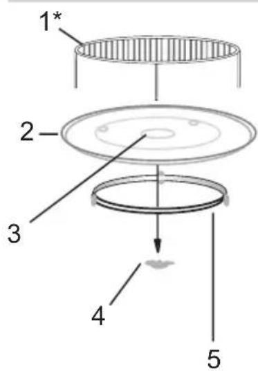 1* 2 3 4 5