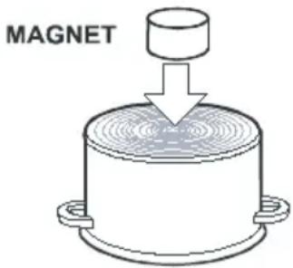 MAGNET