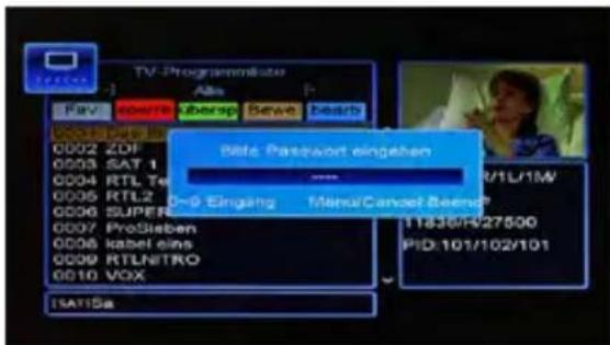 TV-Programmate Alte Bills Password eingeben 0-0 Eingang Meno/Canoei Beend 11836H/27500 PID: 101/102/101 ISA15a