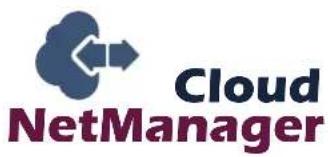 Bintec-elmeg WO-Bridgelink Bundle II - bintec Cloud NetManager, das controllerlose WLAN-Management als SaaS - 1
