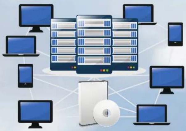Bintec-elmeg WO-Bridgelink Bundle II - bintec Virtual Cloud NetManager - 1