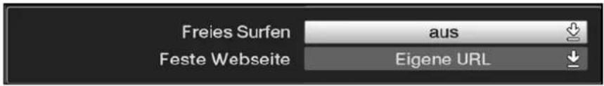 Freies Surfen Feste Webseite aus Eigene URL