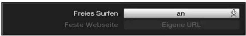 Freies Surfen an Feste Webseite Eigene URL