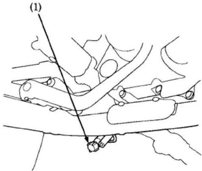 (1)
