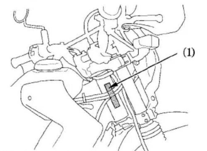 (1)