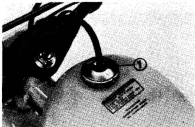 Honda Z50R (1985) - Fuel Tank - 1