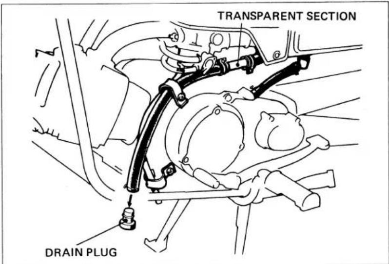 TRANSPARENT SECTION DRAIN PLUG