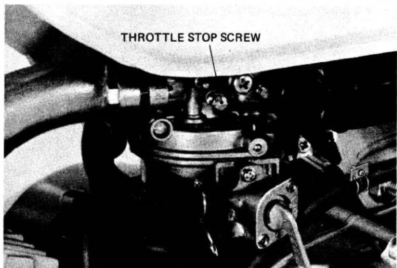 THROTTLE STOP SCREW