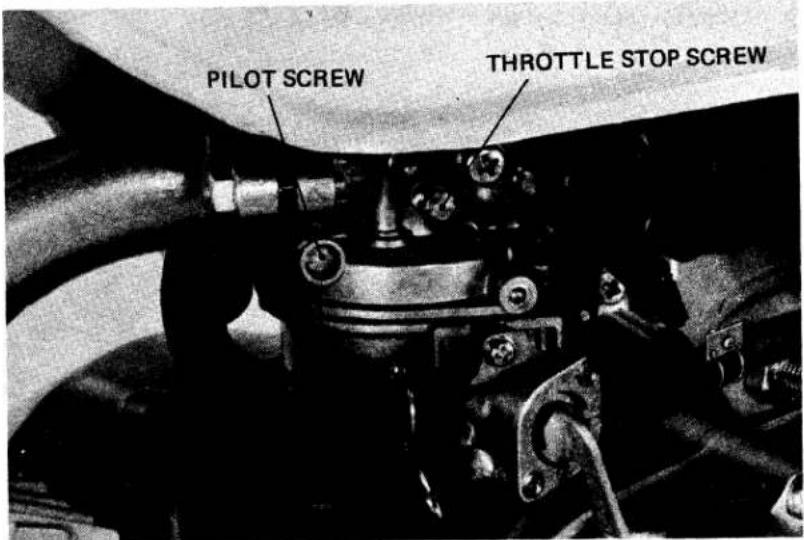 PILOT SCREW THROTTLE STOP SCREW