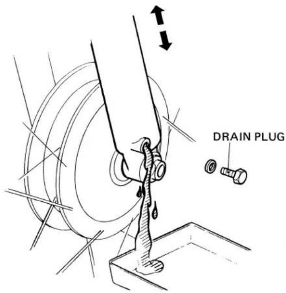 DRAIN PLUG
