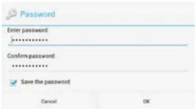Password Enter password: ****** Confirms password: ****** Save the password Cancel OK