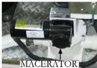 MACERATOR