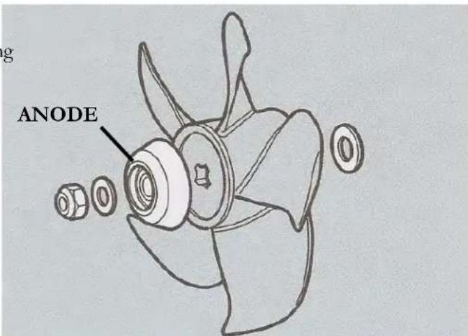 g ANODE