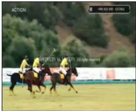 ACTION -09:02:00 (376)