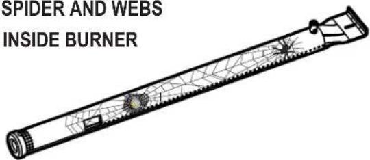 SPIDER AND WEBS INSIDE BURNER