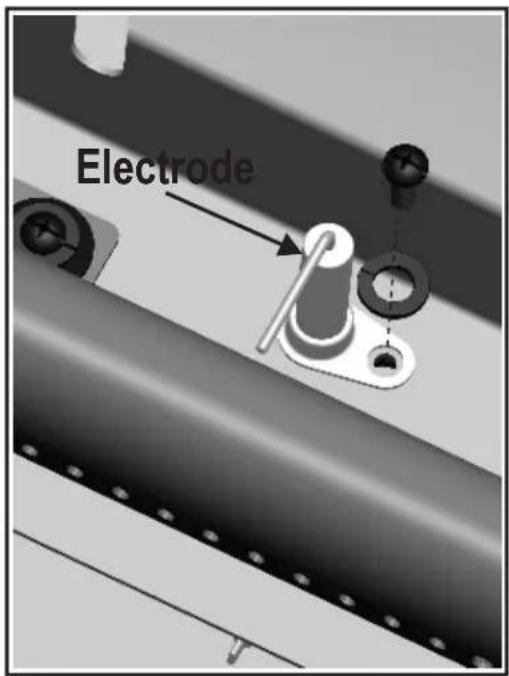 Electrode